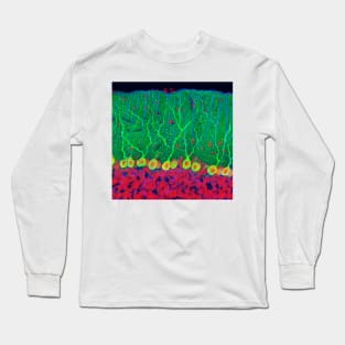 Purkinje nerve cells in the cerebellum (P360/0474) Long Sleeve T-Shirt